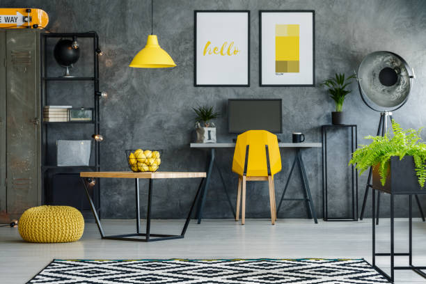 Stylish room with cat powder steel furniture